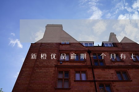 新橙优品逾期一个月有上门的吗 新橙优品逾期一个月有上门的吗