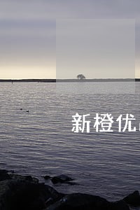 新橙优品逾期一天就暴力催收 新橙优品逾期一天就暴力催收