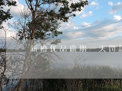 新橙优品逾期一天罚款多少钱 新橙优品逾期一天罚款多少钱