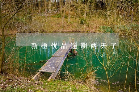 新橙优品逾期两天了 新橙优品逾期两天了