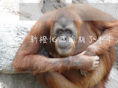 新橙优品逾期了半个月 新橙优品逾期了半个月