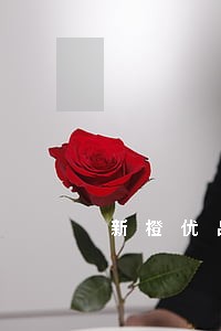 新橙优品逾期会上诉吗 新橙优品逾期会上诉吗