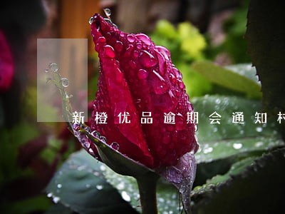 新橙优品逾期会通知村委会 新橙优品逾期会通知村委会