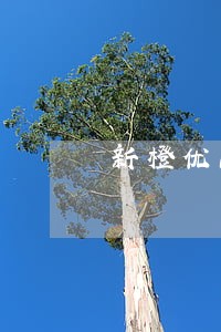 新橙优品逾期十天 新橙优品逾期十天
