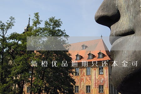 新橙优品逾期只还本金可以吗 新橙优品逾期只还本金可以吗