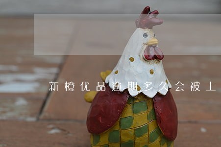 新橙优品逾期多久会被上诉 新橙优品逾期多久会被上诉