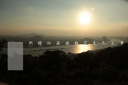新橙优品逾期罚息怎么算 新橙优品逾期罚息怎么算