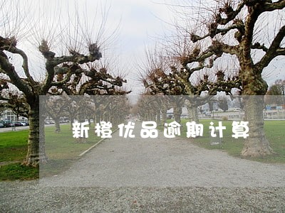 新橙优品逾期计算 新橙优品逾期计算