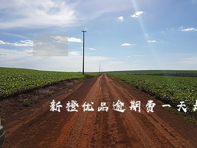 新橙优品逾期费一天是多少 新橙优品逾期费一天是多少