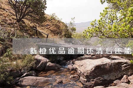 新橙优品逾期还清后还能借吗 新橙优品逾期还清后还能借吗