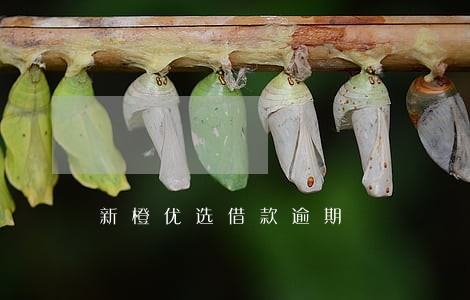 新橙优选借款逾期 新橙优选借款逾期