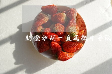 新橙分期一直还款中导致逾期 新橙分期一直还款中导致逾期