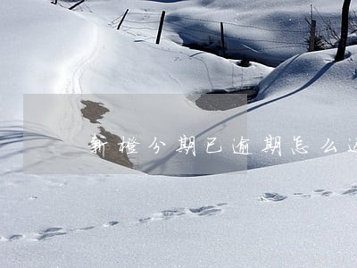 新橙分期已逾期怎么还款 新橙分期已逾期怎么还款