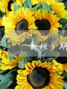 新橙分期逾期一个月会怎么样