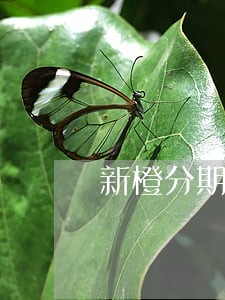 新橙分期逾期一个月利息多少