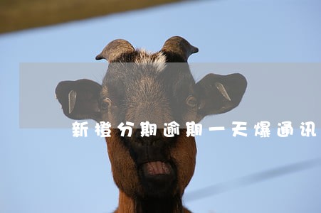 新橙分期逾期一天爆通讯录 新橙分期逾期一天爆通讯录