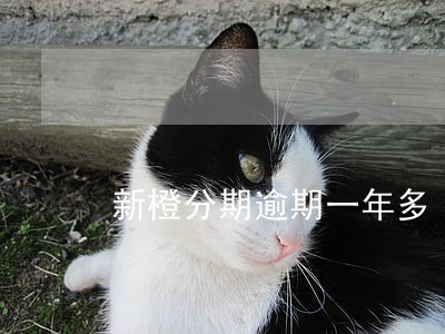 新橙分期逾期一年多 新橙分期逾期一年多