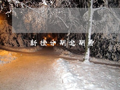 新橙分期逾期费 新橙分期逾期费