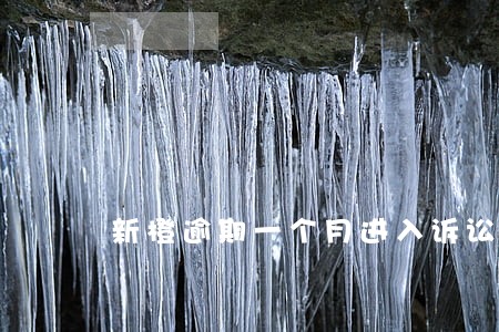 新橙逾期一个月进入诉讼阶段