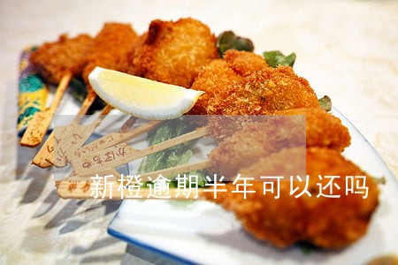 新橙逾期半年可以还吗 新橙逾期半年可以还吗