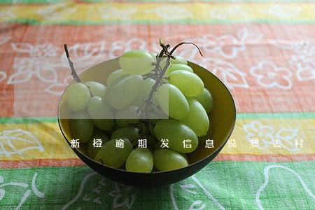 新橙逾期发信息说要去村委会 新橙逾期发信息说要去村委会