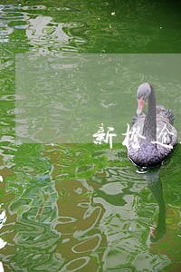 新橙逾期说联系亲属是真的吗