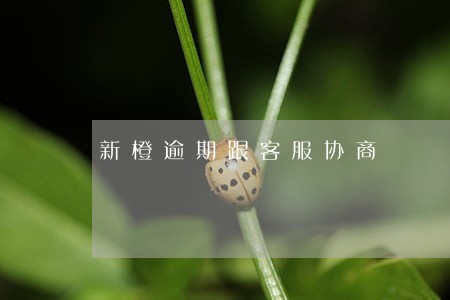 新橙逾期跟客服协商 新橙逾期跟客服协商