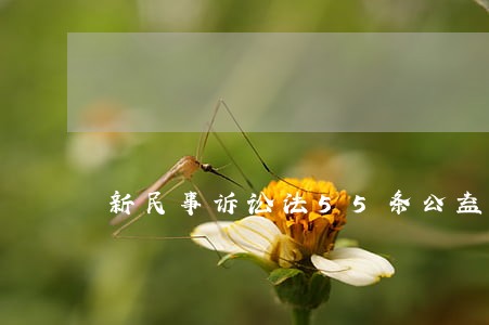 新民事诉讼法55条公益诉讼