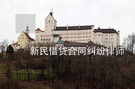 新民借贷合同纠纷律师