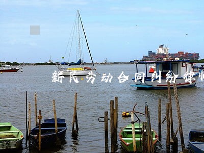 新民劳动合同纠纷律师 新民劳动合同纠纷律师