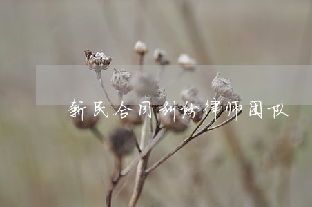新民合同纠纷律师团队 新民合同纠纷律师团队