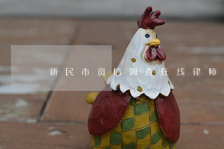 新民市资信调查在线律师 新民市资信调查在线律师