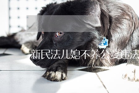 新民法儿媳不养公婆违法吗 新民法儿媳不养公婆违法吗