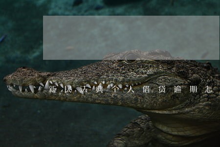 新民法典个人借贷逾期怎么办 新民法典个人借贷逾期怎么办