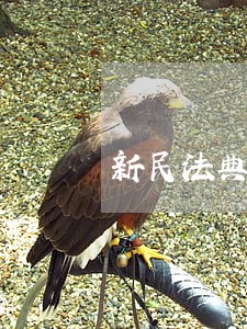 新民法典关于借贷 新民法典关于借贷