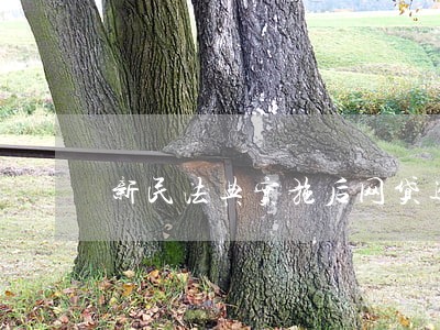 新民法典实施后网贷逾期怎么处理 新民法典实施后网贷逾期怎么处理