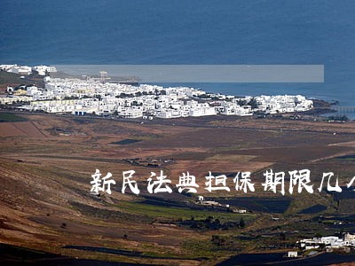 新民法典担保期限几个月 新民法典担保期限几个月