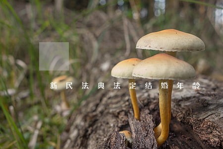 新民法典法定结婚年龄 新民法典法定结婚年龄