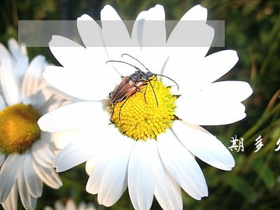 新民法典规定逾期多久发律师函 新民法典规定逾期多久发律师函