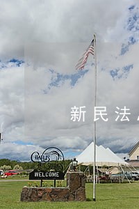 新民法总则专题模板 新民法总则专题模板