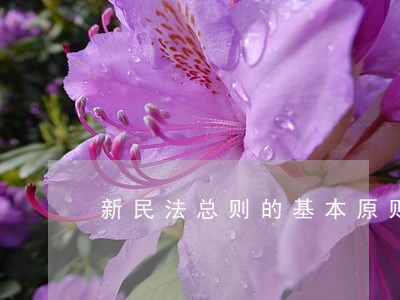 新民法总则的基本原则有哪些 新民法总则的基本原则有哪些