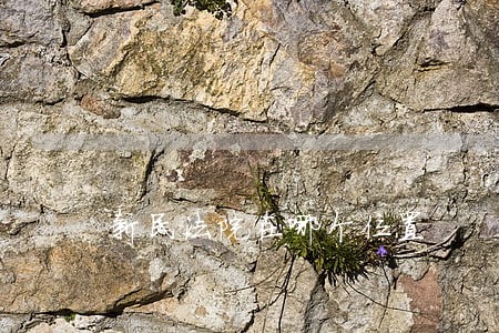 新民法院在哪个位置 新民法院在哪个位置