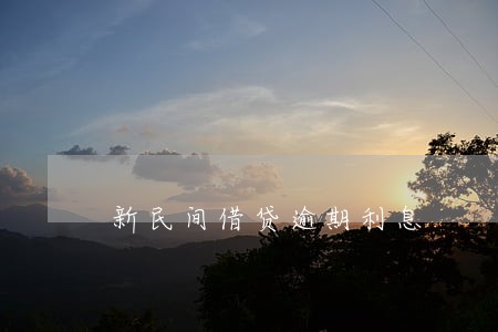 新民间借贷逾期利息 新民间借贷逾期利息