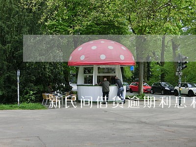 新民间借贷逾期利息利率 新民间借贷逾期利息利率
