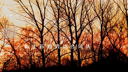 新江苏省劳动合同法 新江苏省劳动合同法