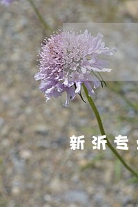 新沂专业债务律师电话 新沂专业债务律师电话