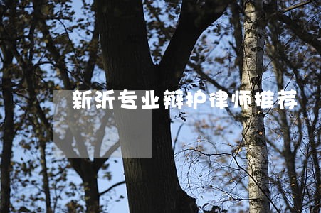 新沂专业辩护律师推荐 新沂专业辩护律师推荐