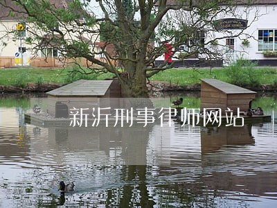 新沂刑事律师网站