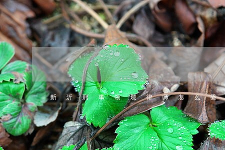 新沂刑事领域律师怎么委托 新沂刑事领域律师怎么委托