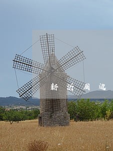 新沂周边婚姻律师推荐 新沂周边婚姻律师推荐